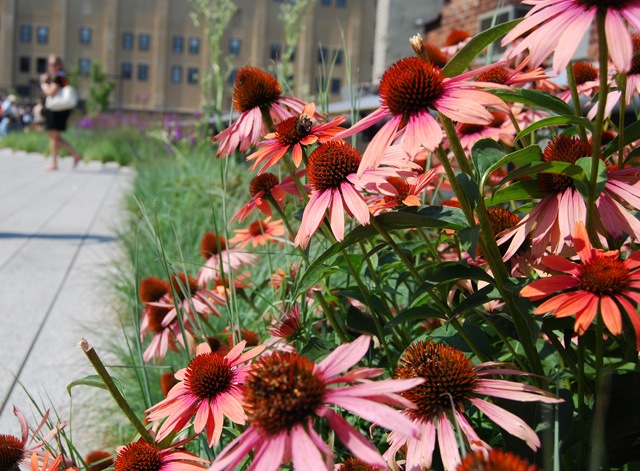 [DSC_0214 copy 2[4].jpg]